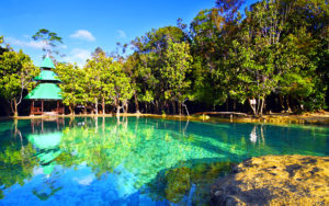 Emerald-pool สระมรกต