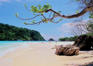 เกาะรอก
